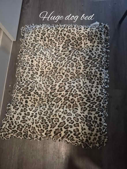 Photo of free Dog Bed (76102) #1
