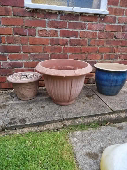 Photo of free Large plastic planter (Ecclesfield Sheffield) #1