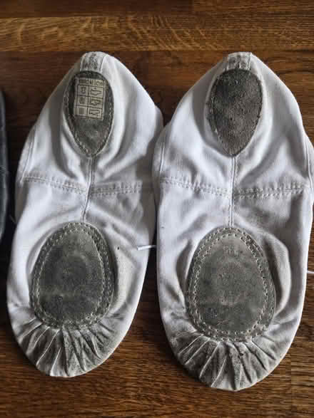 Photo of free Ballet Shoes size 4 Jr (Lightwood ST3) #3