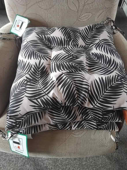 Photo of free Dining chair seat pads (Lowedges. S8) #1