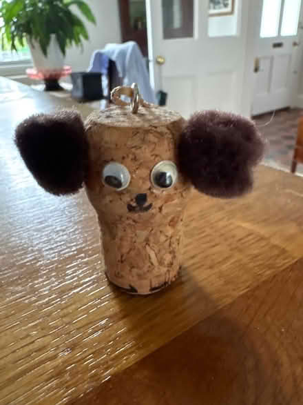 Photo of free ‘Champagne’ corks and others. (Broadward HR6) #4