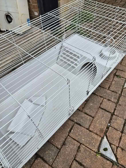 Photo of free Small Pets Cage (London Colney AL2) #2