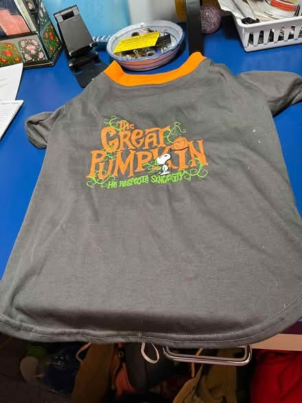 Photo of free dog t-shirt--The Great Pumpkin (Derwood, MD) #1