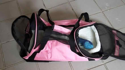 Photo of free Pet Carrier (Queenstown, near MRT) #4