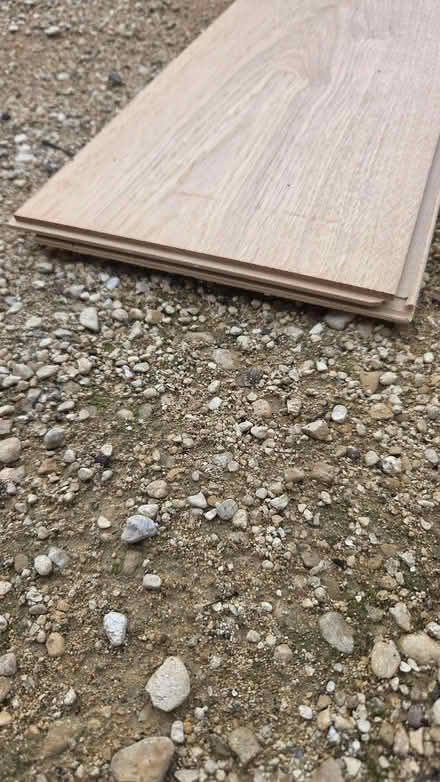 Photo of free Flooring (Monewden IP13) #1