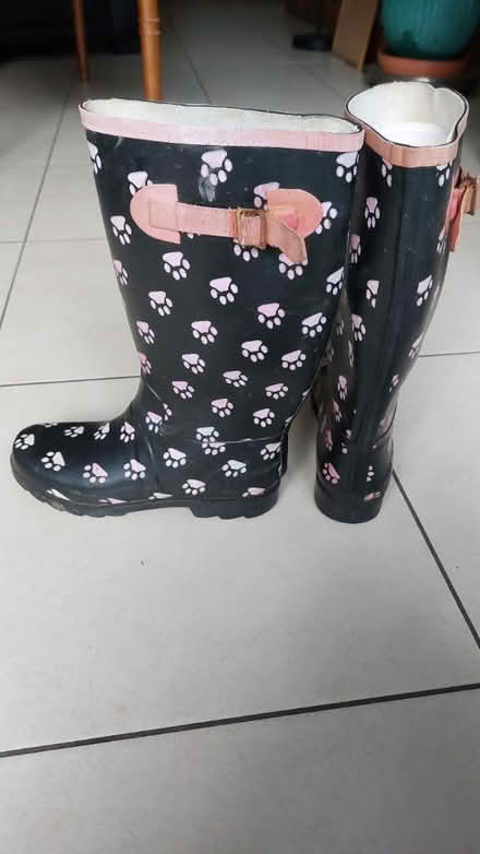 Photo of free Wellington boots (Belfast BT11) #2