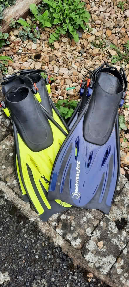 Photo of free Sea flippers (Knighton LD7) #1