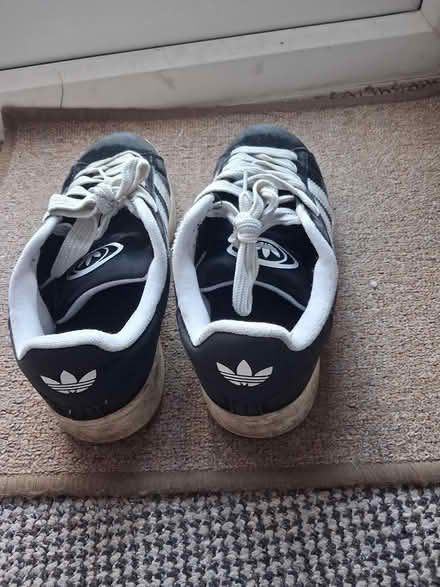 Photo of free Adidas ladies trainers (Styvechale, Coventry CV3) #1