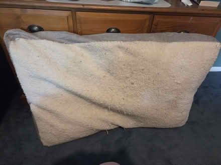 Photo of free Pet bed (Eastwood NG16 3LL) #1
