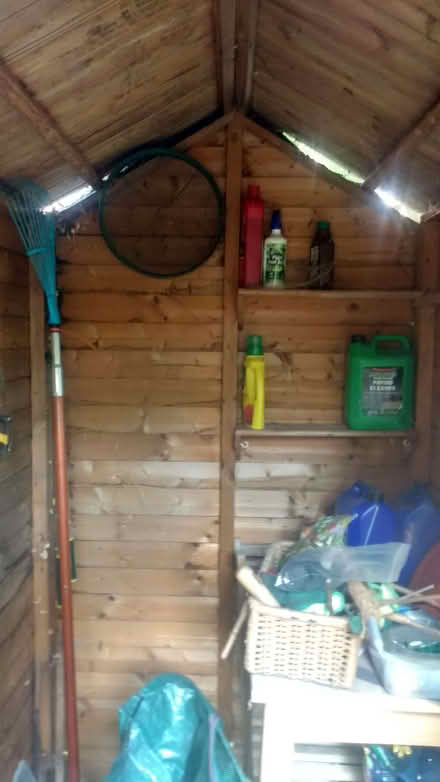 Photo of free Garden shed (Cricket Road OX4) #4