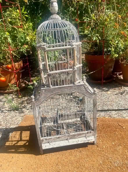 Photo of free Birdcage decoration for yard (Near Greer park, Palo alto) #2