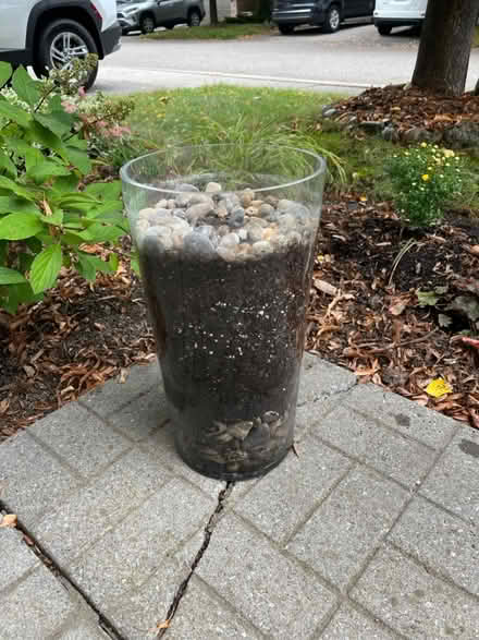 Photo of free Glass vase large (QEW and Third Line) #1