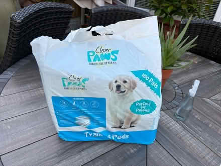 Photo of free Puppy training pads (Southport PR9) #1