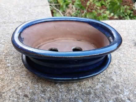 Photo of free Bonsai dish (S71. Monk Bretton) #1