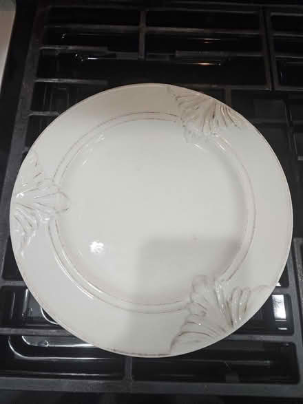 Photo of free 5 Dinner plates (Medford ma) #4