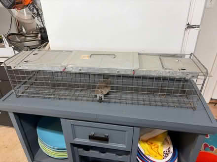 Photo of free Havahart animal trap (2) (S. Leesburg near Banshee Reeks) #2