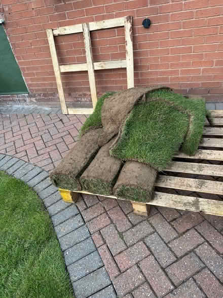 Photo of free Turf (Long Eaton NG10) #1