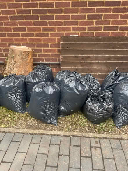 Photo of free Bags of wood chipping (Al11ag) #2