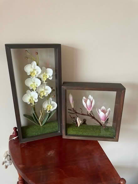 Photo of free Two flower decorative hanging boxes (Talbot Village BH10) #1