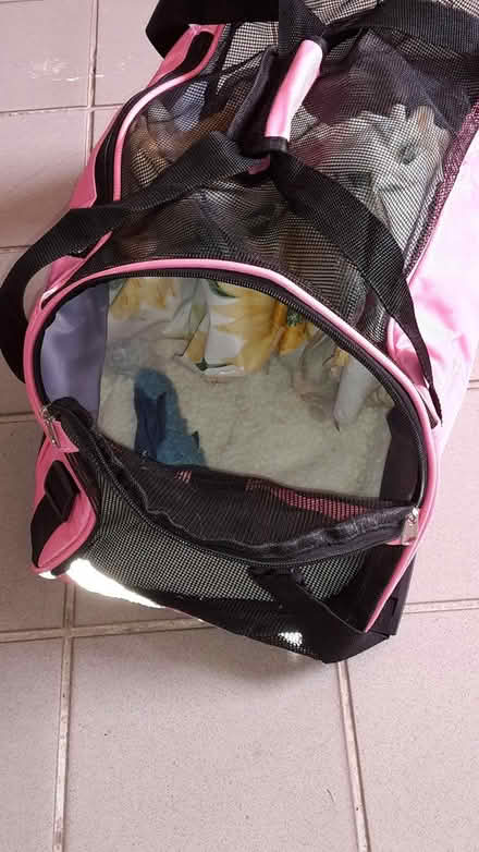 Photo of free Pet Carrier (Queenstown, near MRT) #3