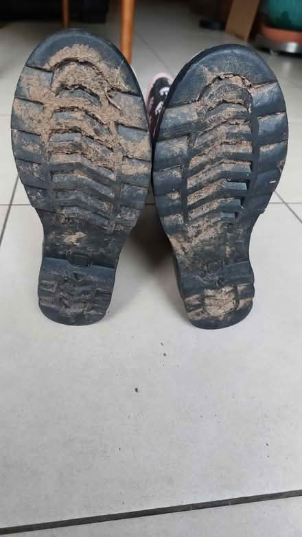 Photo of free Wellington boots (Belfast BT11) #3