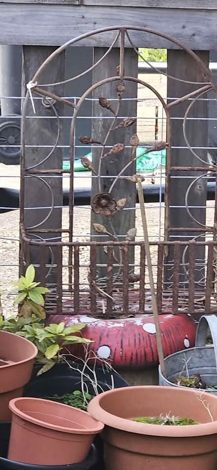 Photo of free Plant pots (Bramley LS13) #3