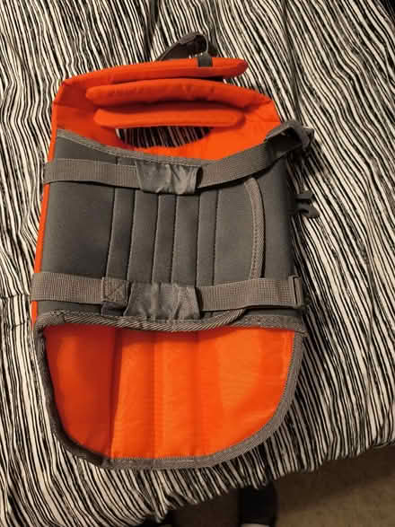 Photo of free Outward Hound life preserver (Odenton, near Odenton Elem) #2