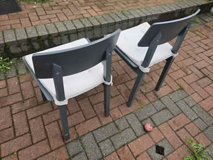 Photo of free Pair of Wooden IKEA Sigurd Chairs with Ikea Cushion Pads (Phippsville NN1) #2