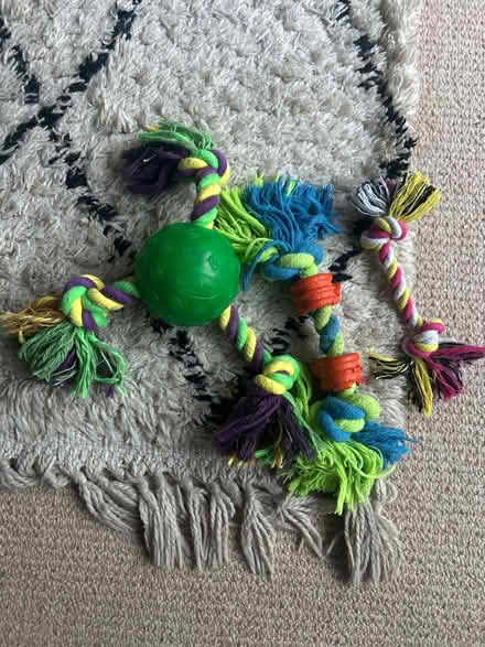 Photo of free Dog toys (Windermere LA23) #1