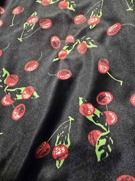 Photo of free One Piece Cherries Swim Dress - XXL (West 7th) #4