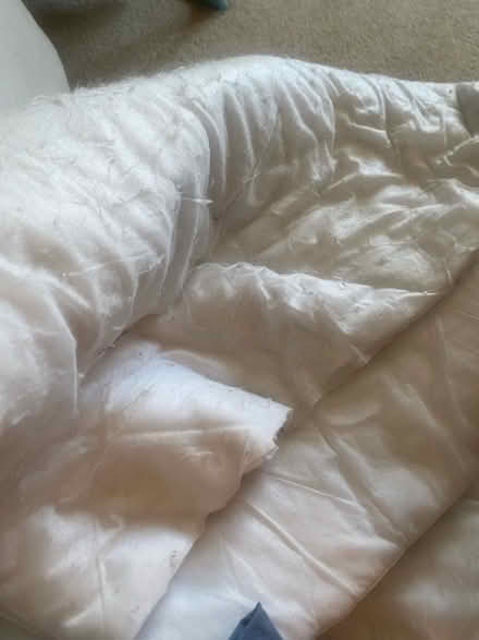 Photo of free Bedding/unfinished project (SE8 Deptford) #4