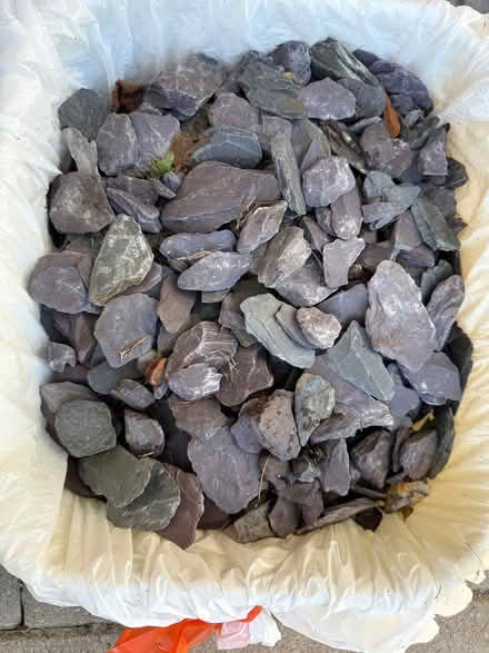 Photo of free Grey/ purple state paddlestones (AL4) #2