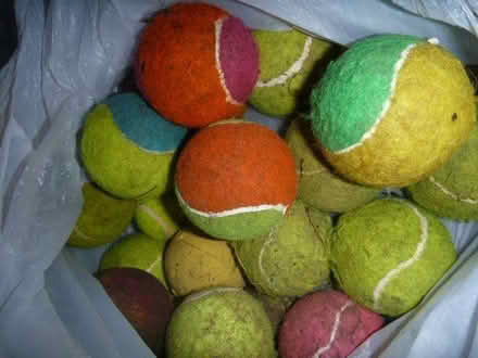Photo of free 30 Dog Tennis Balls (Bracknell RG12) #1