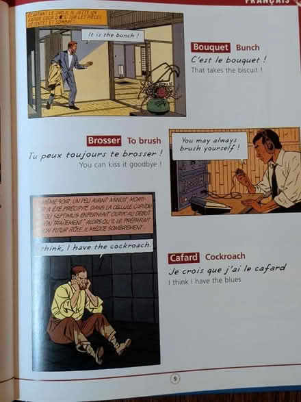 Photo of free English-French dictionary of idioms (Jamaica Plain) #4