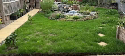 Photo of Small garden roller (Nunnery Wood WR5) #2