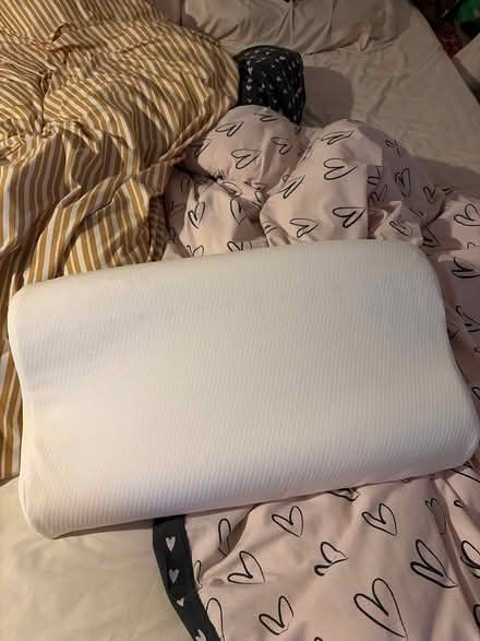 Photo of free used pillow (Millwall E14) #1