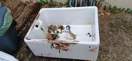 Photo of free Butler sink (Waterlooville PO8) #1