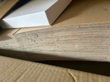 Photo of free Box of boxes (Sidley TN39) #3