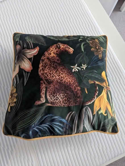 Photo of free M&S cushion and cover (Hitchin SG5) #1