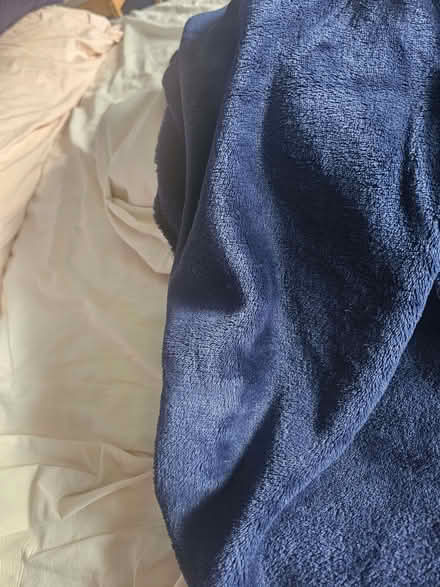 Photo of free Dark blue blanket (Bromham MK43) #2