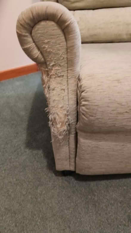 Photo of free Light sage green sofa (Apperley GL19) #3