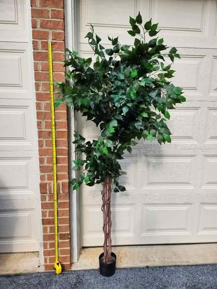 Photo of free Plastic decorative tree (Spring Ridge Weis parking lot) #2