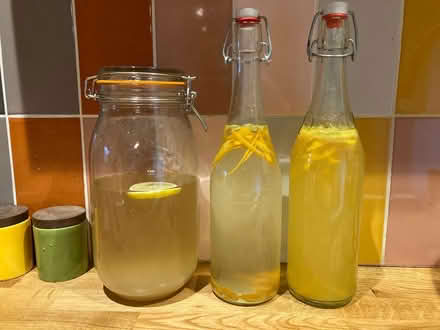Photo of free Water kefir grains (Symondsbury DT6) #1