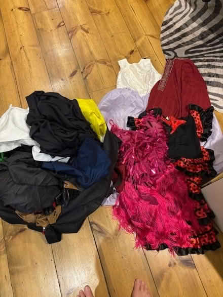 Photo of free Lots of dressing up stuff (St Albans AL3) #4