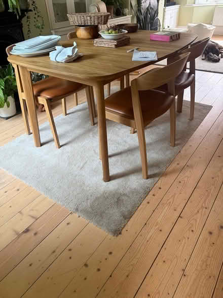 Photo of free 2 rugs, useful for garden/allotment (Exeter EX2) #1
