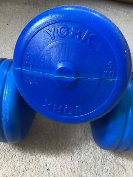 Photo of free 5kg dumbells (Clifton Reynes) #1
