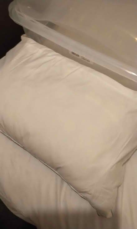 Photo of free Pillow (Spondon derby DE21) #1