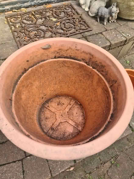 Photo of free Pots (Selsdon CR2) #3