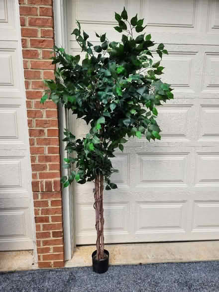 Photo of free Plastic decorative tree (Spring Ridge Weis parking lot) #1