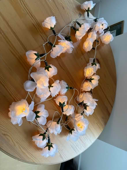 Photo of free White flower light string (Chesham HP5) #1